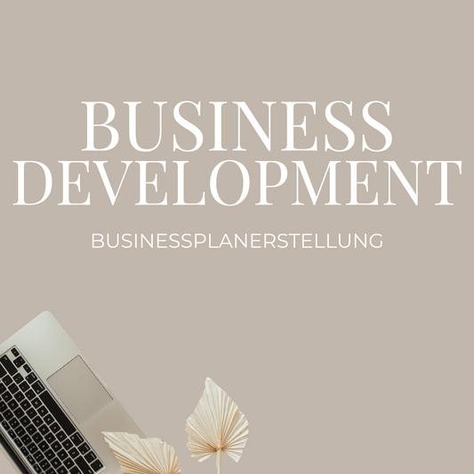 Businessentwicklung + Businessplan